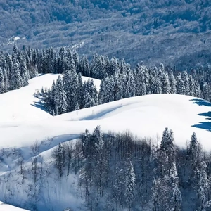 校🌸自慰流出白色液
