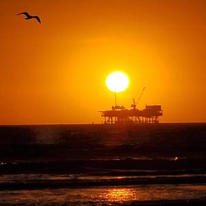 校🌸自慰流出白色液
